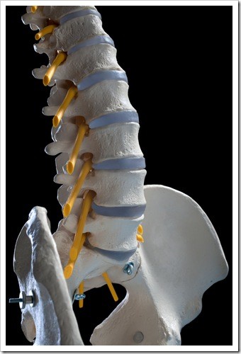 Herniated Disc and Back Pain West Houston TX