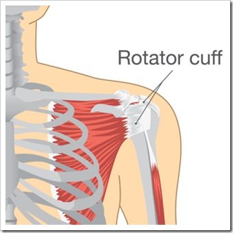 Shoulder Pain West Houston TX Rotator Cuff Injury